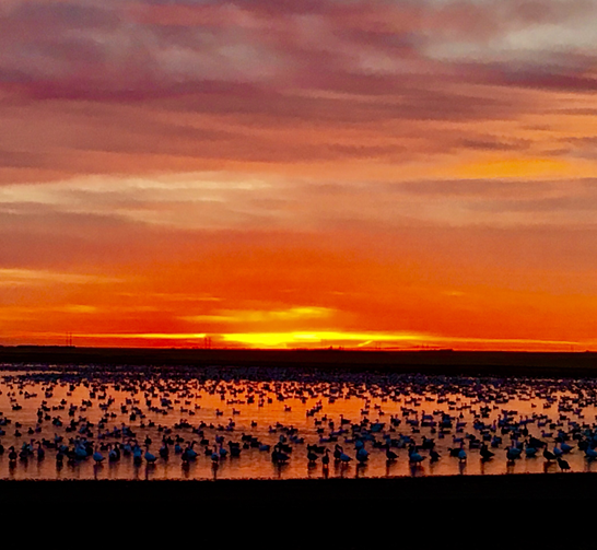 Contact Hunting Lodge Saskatchewan